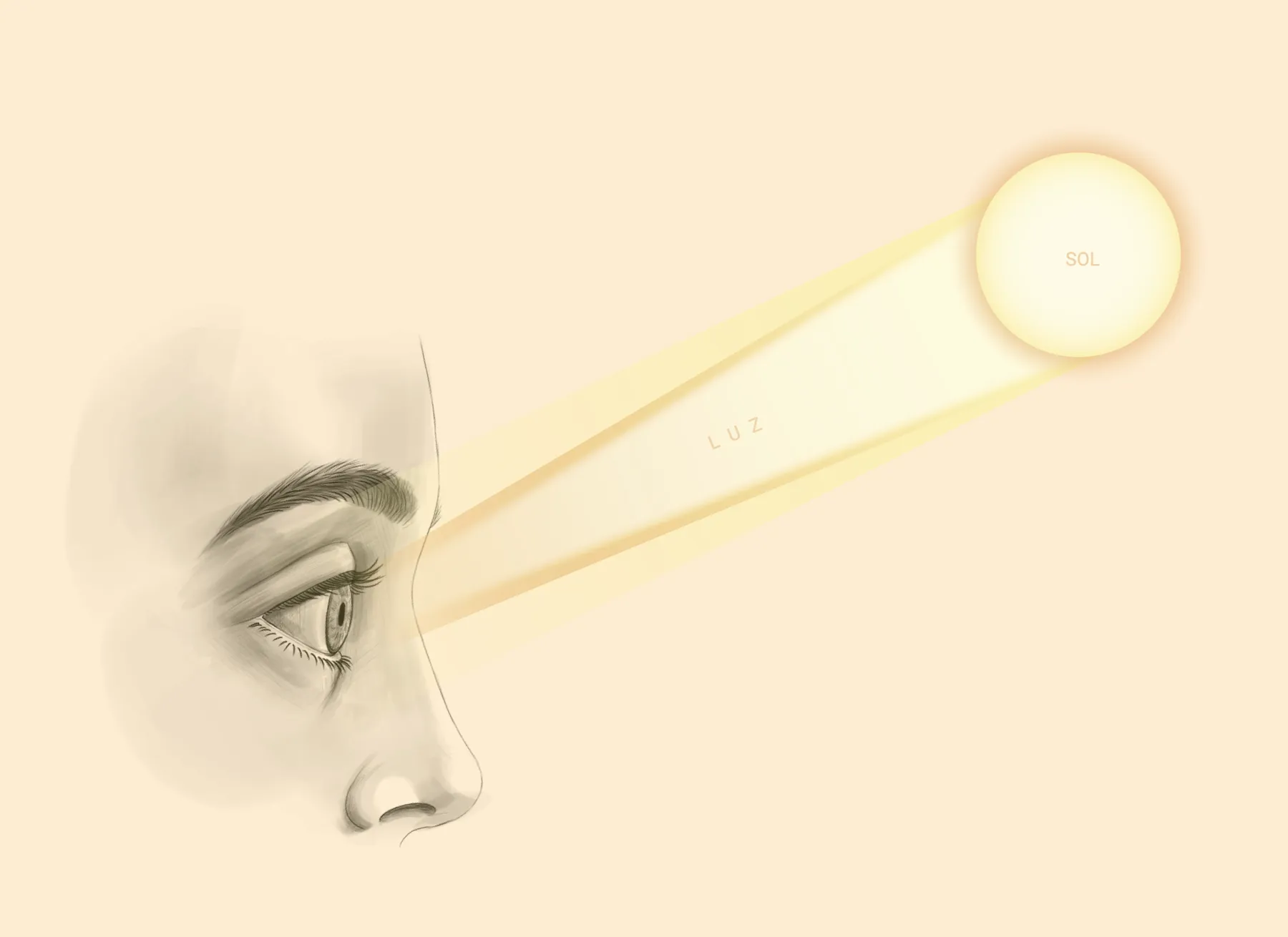 Ilustración de un ojo expuesto directamente a la luz del Sol