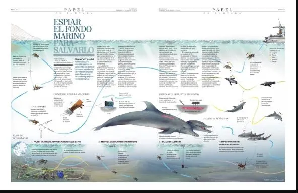 Segunda página de la infografía sobre el comportamiento de los animales marinos