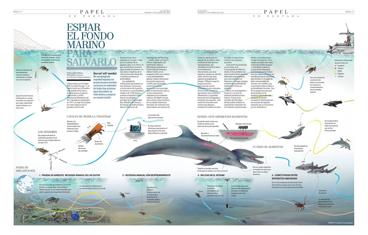 Espiar el fondo marino