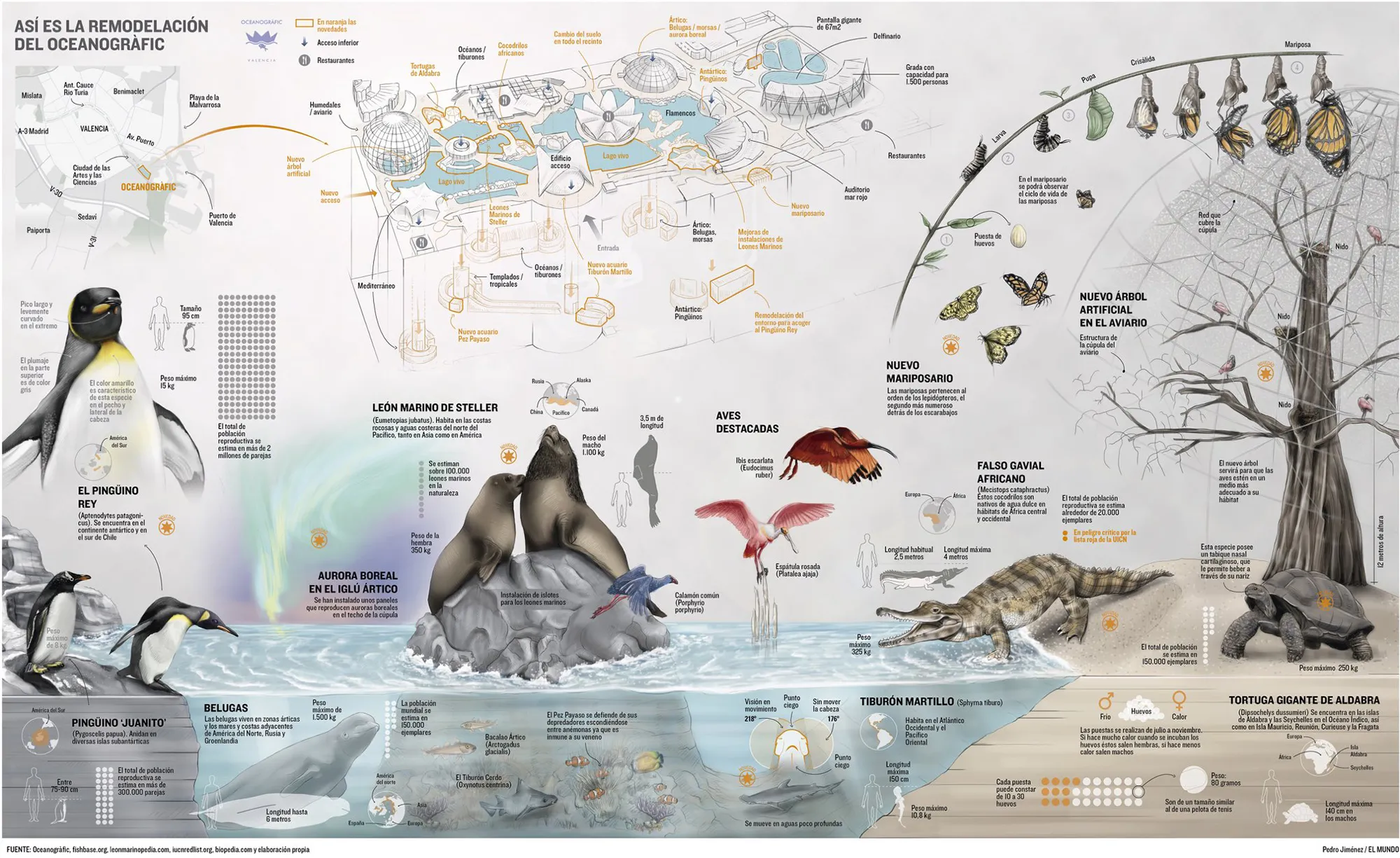 Species at Valencia's Oceanogràfic